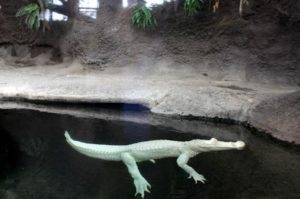 North Carolina Aquarium at Fort Fisher