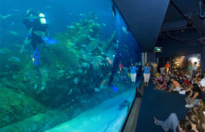 Aquarium at Pine Knolls