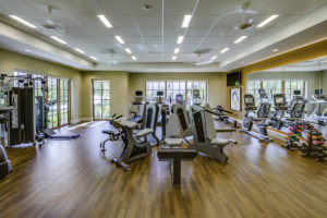 gym equipment in wellness center